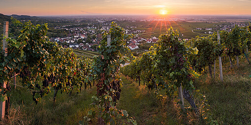 Baufinanzierung Bühl